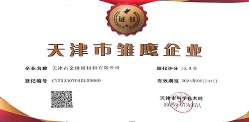 雛鷹企業證書